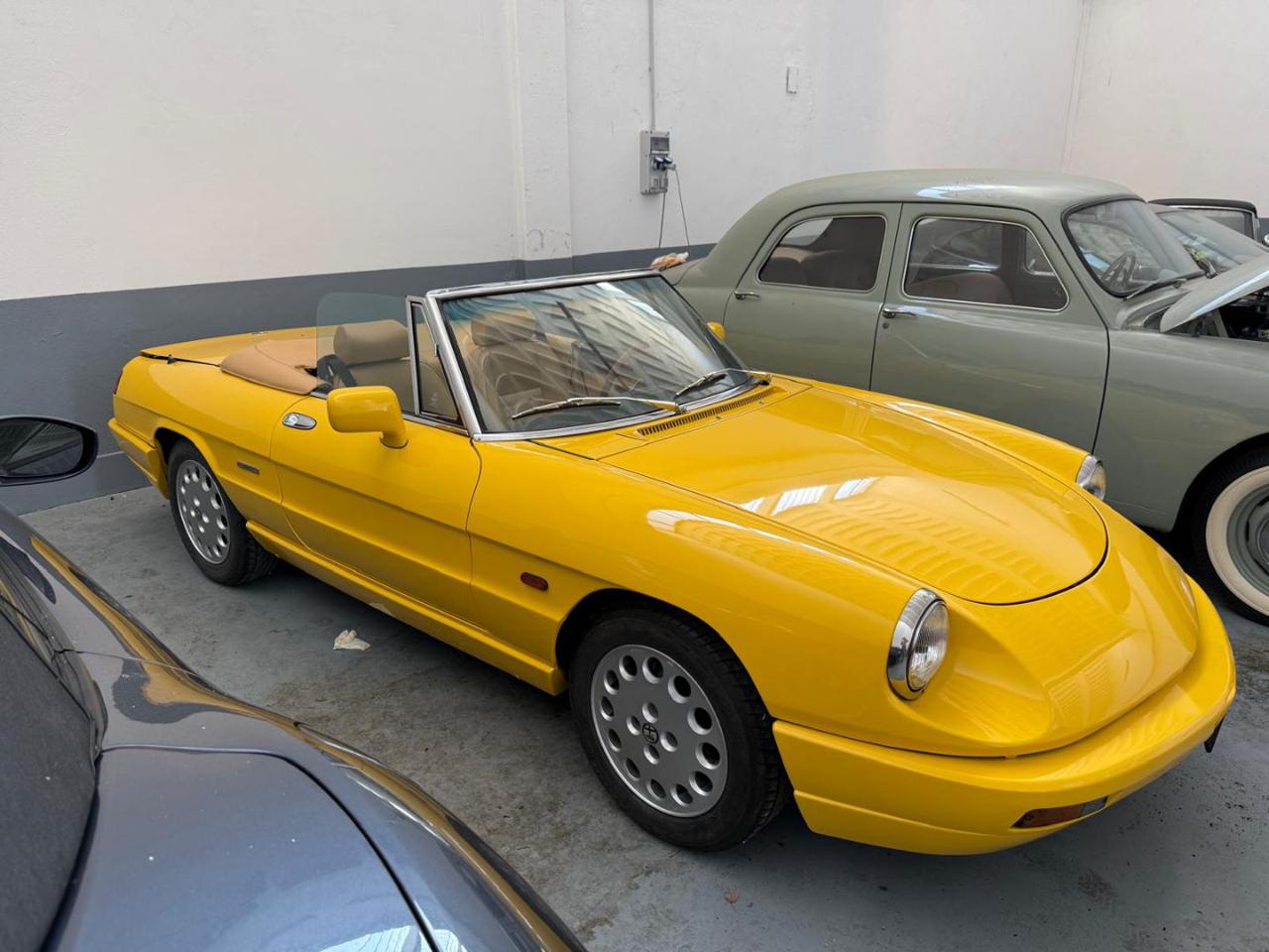 ALFA ROMEO Spider